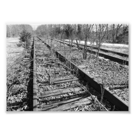 Silent Tracks 7 x5 zwart-wit fotografische printer Foto Afdruk (Voorkant)