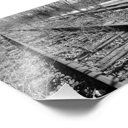 Silent Tracks 7 x5 zwart-wit fotografische printer Foto Afdruk (Hoek)