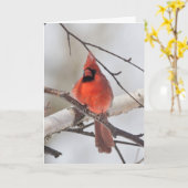 Silent vraagt om blanco wenskaart kardinaal kaart (Gele Bloem)