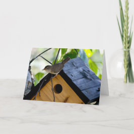 Silent vraagt om blanco wenskaart Wren Kaart