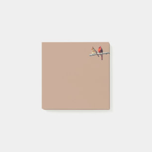 Silent vraagt zich af hoe het artikel Cardinals aa Post-it® Notes