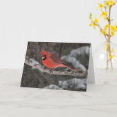 Silent vraagt zich af of er geen wenskaart is. kaart (Gele Bloem)