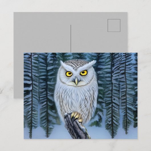 Silent Watch - Northern Winter Bossen Grey Owl Briefkaart (Voorkant / Achterkant)
