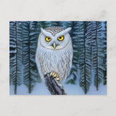 Silent Watch - Northern Winter Bossen Grey Owl Briefkaart (Voorkant)