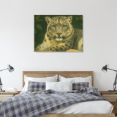 Silent Watcher - Sneeuwluipaard in het licht van h Canvas Afdruk (Insitu (Slaapkamer))