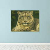 Silent Watcher - Sneeuwluipaard in het licht van h Canvas Afdruk (Insitu (Houten vloer))