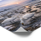 Silent Waters – Swans and Geese in a Winter Field Poster (Hoek)