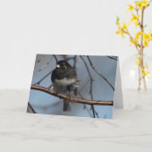 Silent Wonders blanco in wenskaart Junco Kaart (Gele Bloem)