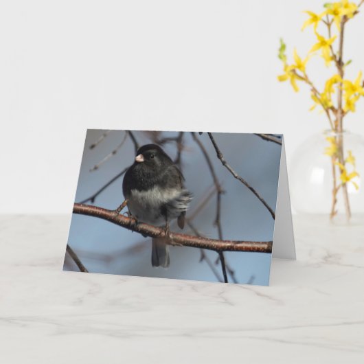 Silent Wonders blanco in wenskaart Junco Kaart (Gele Bloem)