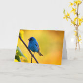 Silent wonders blank greeting card Indigo Bunting Kaart (Gele Bloem)