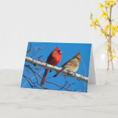 Silent Wonders Blank Wenskaart Cardinals Kaart (Gele Bloem)