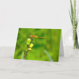 Silent Wonders Blank wenskaart Dragonfly Kaart