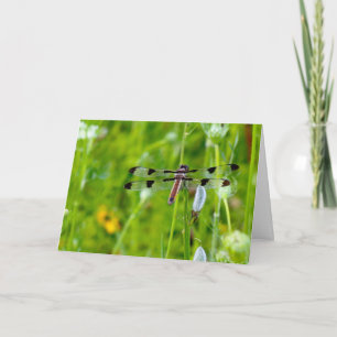 Silent Wonders Blank wenskaart Dragonfly Kaart