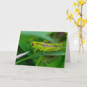 Silent Wonders Blank wenskaart Grasshopper Kaart (Gele Bloem)