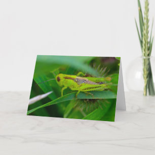 Silent Wonders Blank wenskaart Grasshopper Kaart