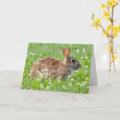 Silent Wonders Blank wenskaart Konijn Kaart (Gele Bloem)