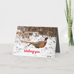 Silent Wonders Holiday Card Pheasant Bedankkaart