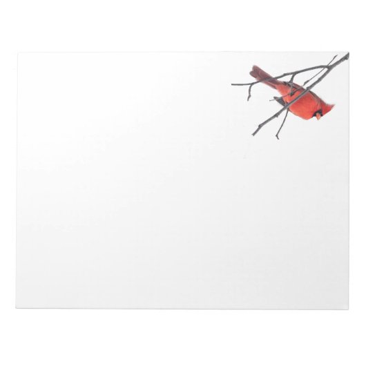 Silent Wonders Notepad Cardinal Notitieblok (Voorkant)