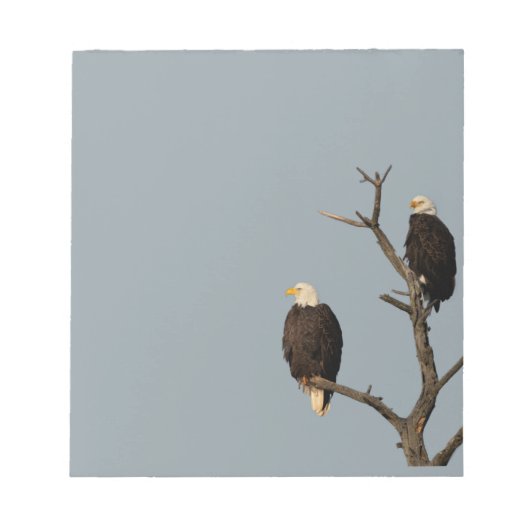 Silent Wonders Notitieblok Bald Eagles (Voorkant)