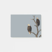 Silent Wonders Post It Notes Eagles (Voorkant)
