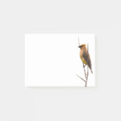 Silent Wonders Post merkt Cedar Waxwing op Post-it® Notes (Voorkant)