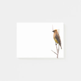 Silent Wonders Post merkt Cedar Waxwing op Post-it® Notes