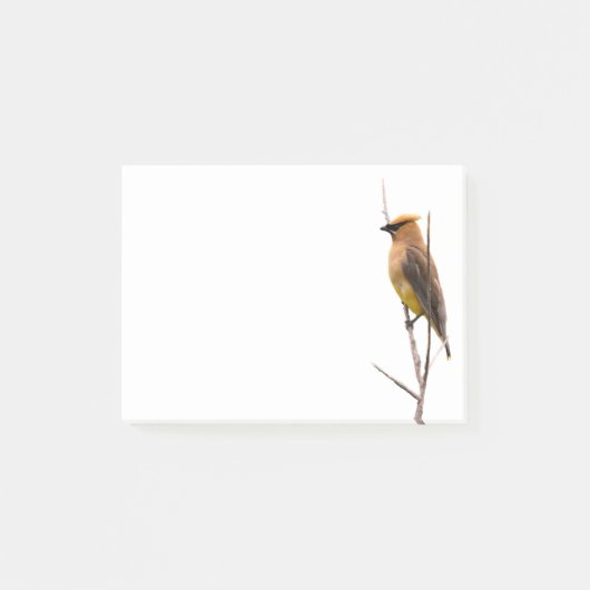 Silent Wonders Post merkt Cedar Waxwing op Post-it® Notes (Voorkant)