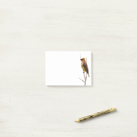 Silent Wonders Post merkt Cedar Waxwing op Post-it® Notes (Op bureau)