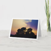Silhouet Boom Landschap Kaart (Voorkant)