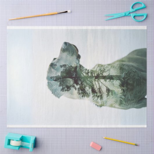 Silhouet Lab ontmaskerde film decoupage Tissuepapier (Craft)