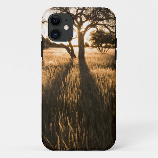 Silhouet van acaciabomen in gras. Mariental Case-Mate iPhone Case (Achterkant)