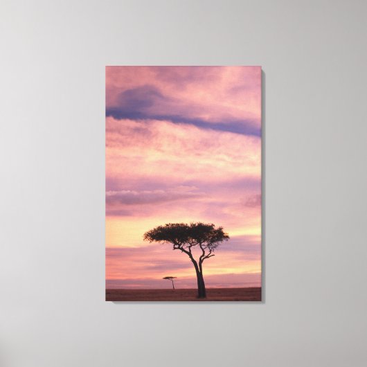 Silhouet van acaciaboom bij zonsopgang canvas afdruk (Voorkant)