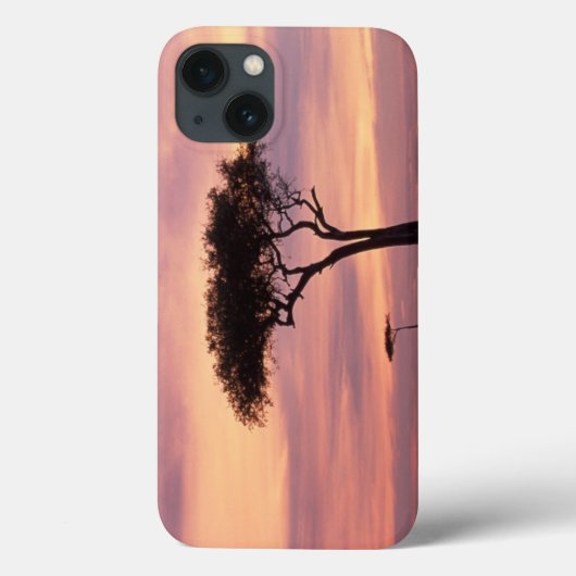 Silhouet van acaciaboom bij zonsopgang Case-Mate iPhone case (Achterkant)