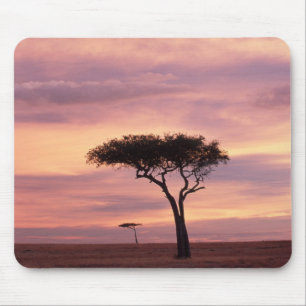 Silhouet van acaciaboom bij zonsopgang muismat