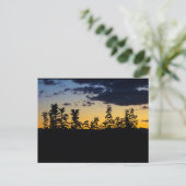 Silhouet van bladeren 's nachts briefkaart (Staand voorkant)