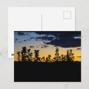 Silhouet van bladeren 's nachts briefkaart