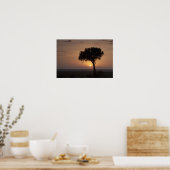 Silhouet van boom op vlakte, Masai Mara 2 Poster (Keuken)