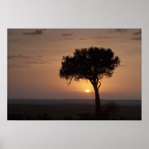 Silhouet van boom op vlakte, Masai Mara 2 Poster