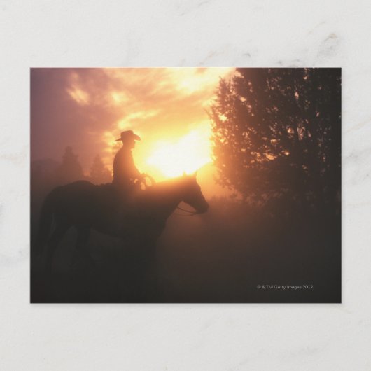 Silhouet van cowboy op een paard briefkaart (Voorkant)