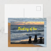 Silhouet van de hond op de oceaan surf briefkaart (Voorkant / Achterkant)