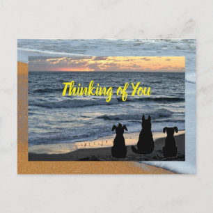 Silhouet van de hond op de oceaan surf briefkaart