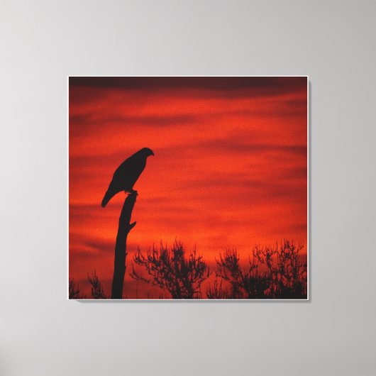 Silhouet van een havik bij zonsondergang canvas afdruk (Voorkant)