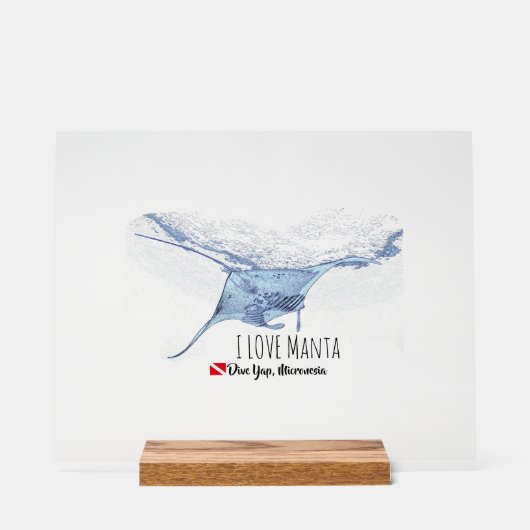 Silhouet van een manta rog acryl bord (Voorkant)