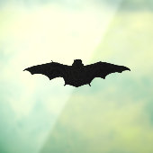 Silhouet van een ruige vleermuis raamsticker (Vel 3)