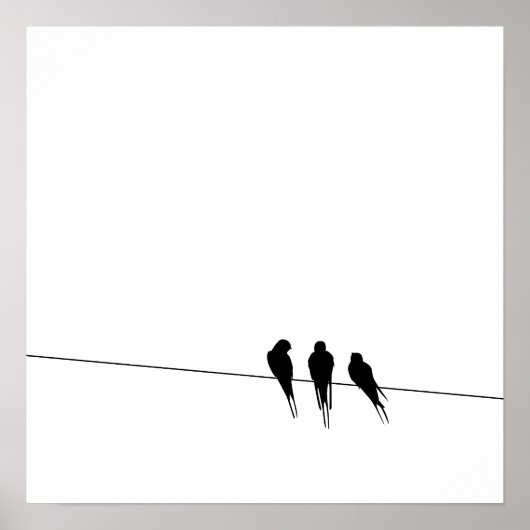 Silhouet van merels op een draad poster (Voorkant)