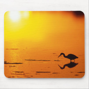 Silhouet van reiger bij zonsondergang, Florida Muismat