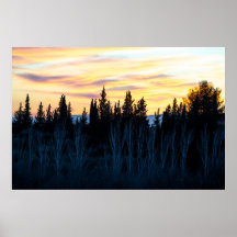 Silhouetbomen bij zonsondergang