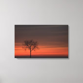 Silhouetboom uitgerekt canvas afdrukken (Voorkant)