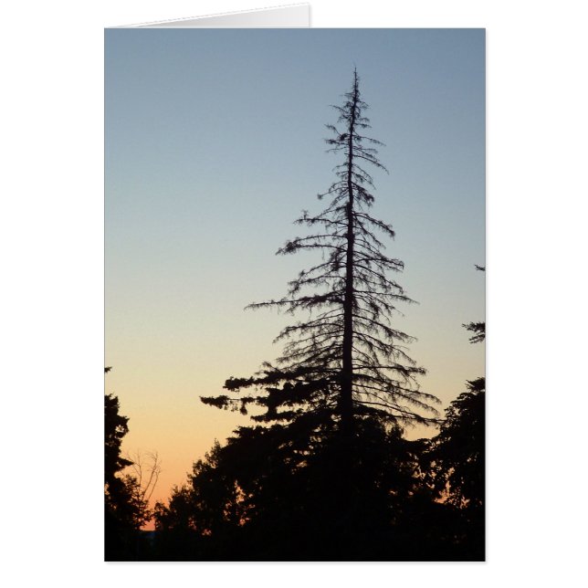 Silhouette (Voorkant)