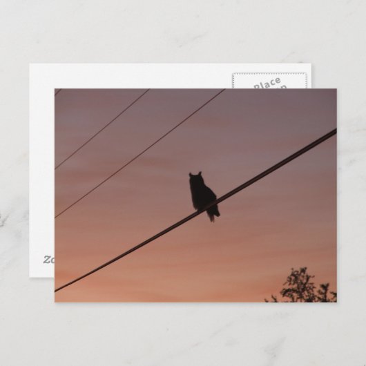 Silhouette Beauty Briefkaart (Voorkant / Achterkant)